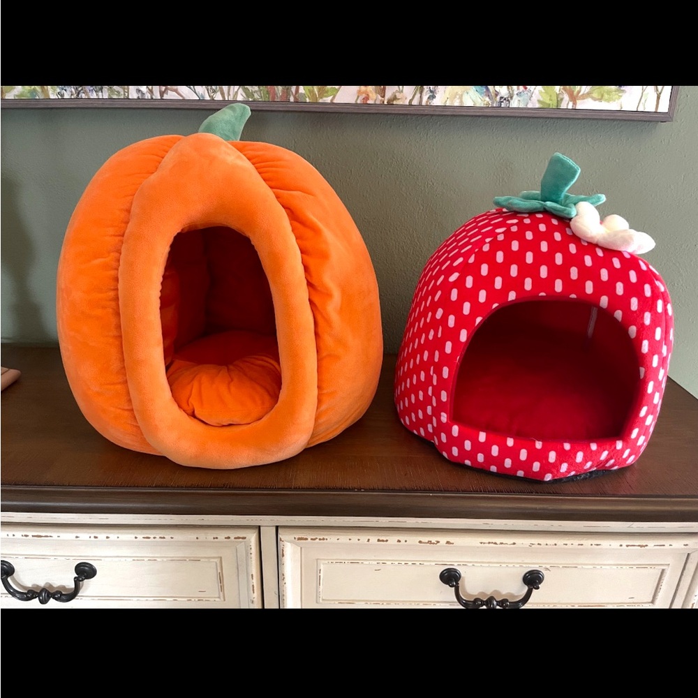Pumpkin and Strawberry Pet Beds